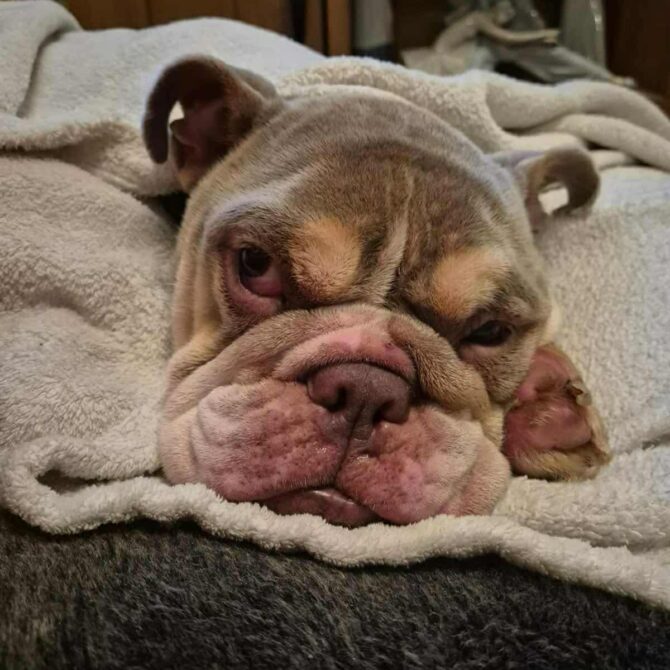 Meera – In Foster – South West
