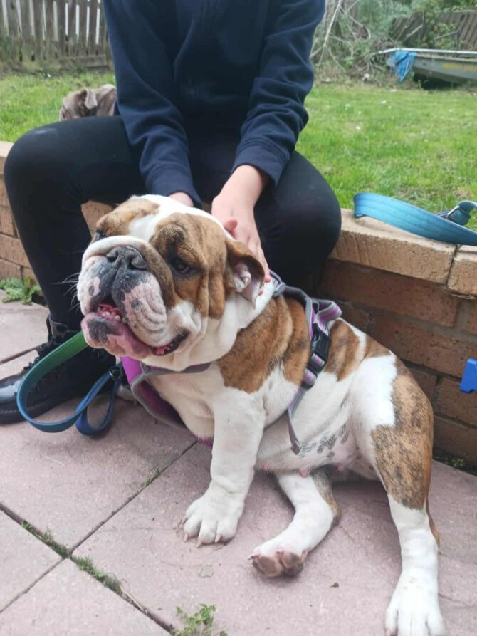 Izzy – In Foster – North East