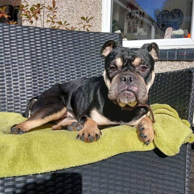 Amy – In Foster – North East