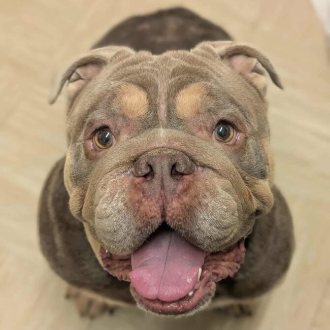 Elton – In Foster – South East