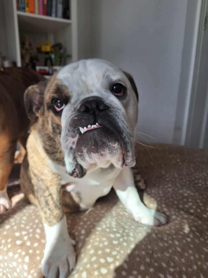 Jacky – In Foster – South West