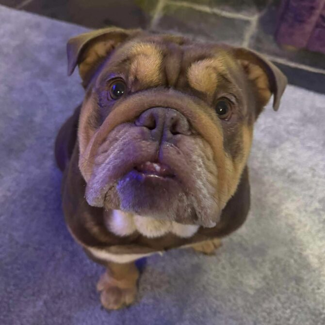 Baxter – In Foster – Midlands