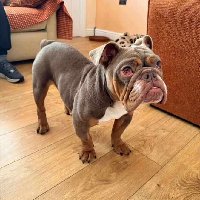 Eileen – In Foster – North East