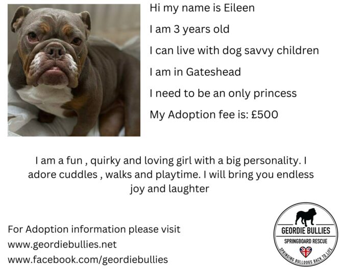 Eileen – Now Available – North East