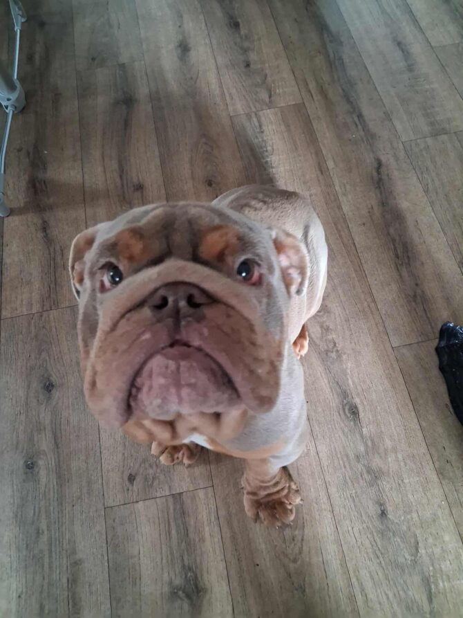 Huxley – In Foster – South East