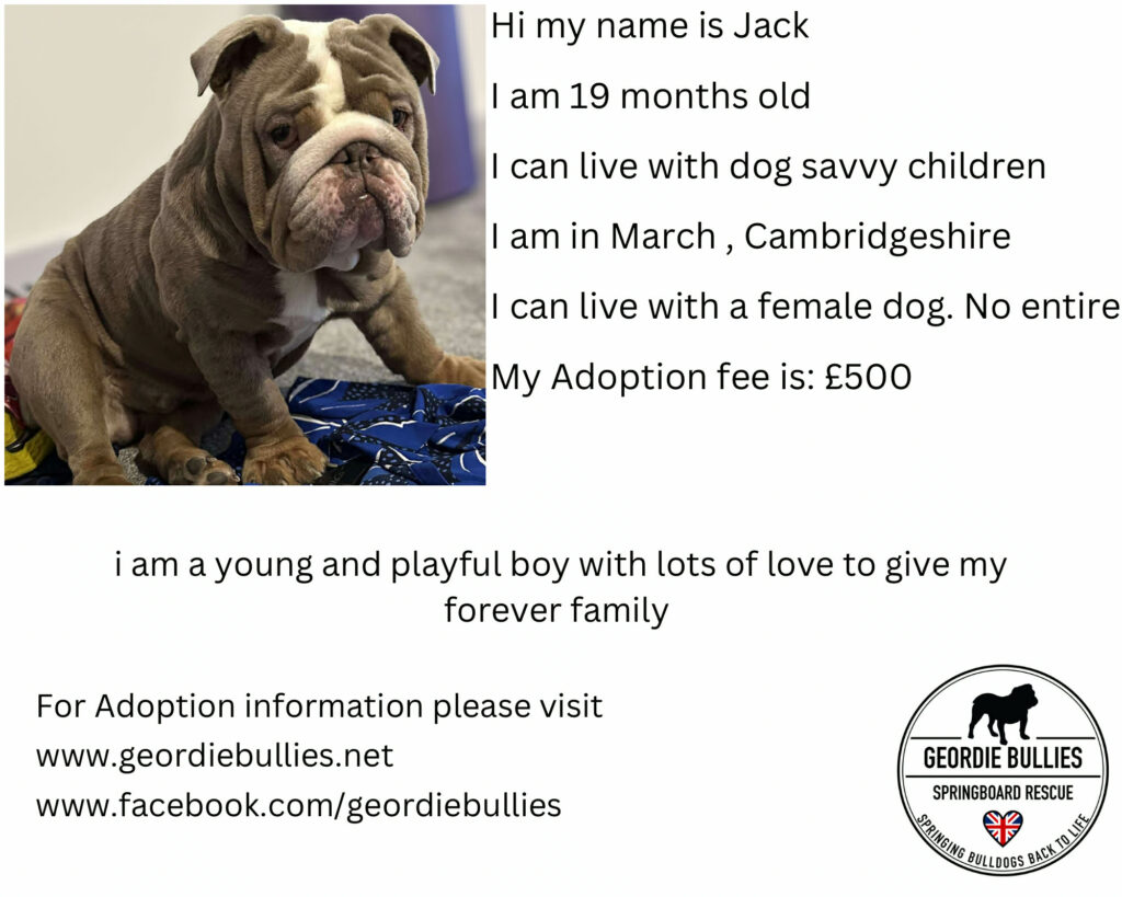 The current image has no alternative text. The file name is: 73718f86-4fcc-4bef-ab8d-417e2a1be1b7.jpg