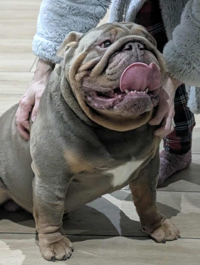 Eddie – In Foster – South East