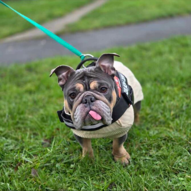 Beryl – In Foster – Yorkshire & Humberside