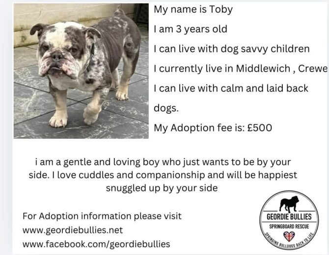Toby- Applications Closed- North West!