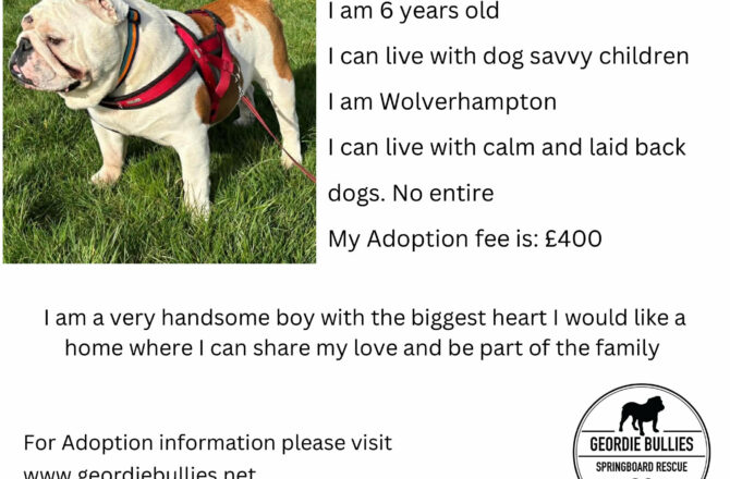 Humphrey – Applications Closed- Midlands