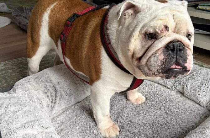 Humphrey – In Foster – Midlands