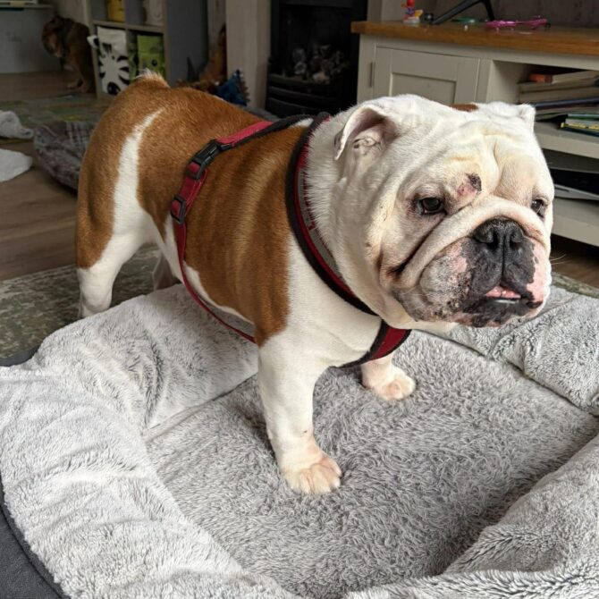 Humphrey – In Foster – Midlands