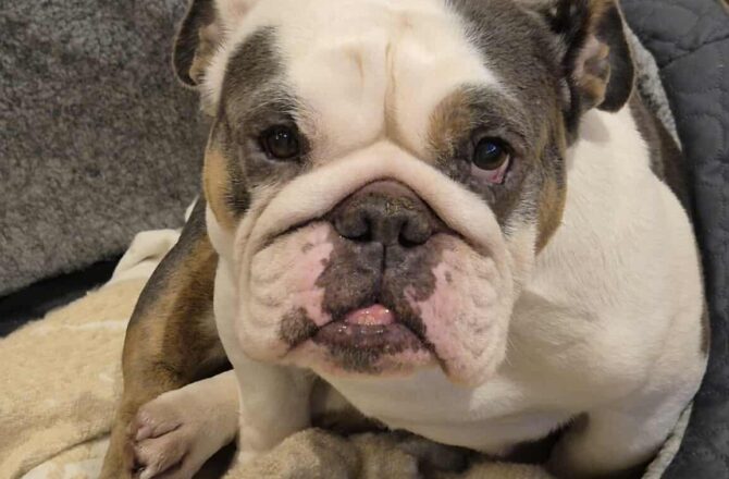 Margot -In Foster – South East