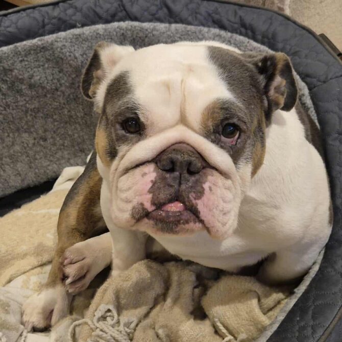 Margot -In Foster – South East