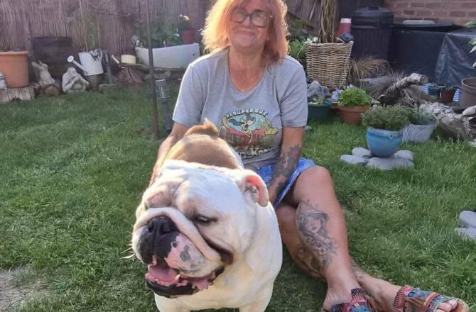 Humphrey – Adopted