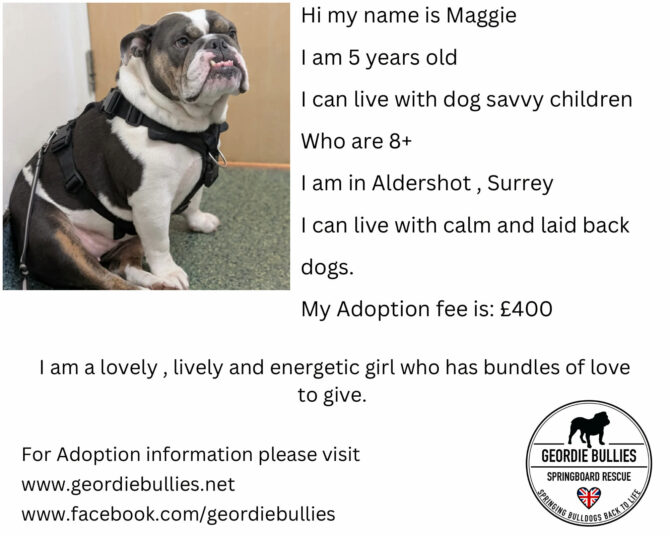 Maggie – Available – South East