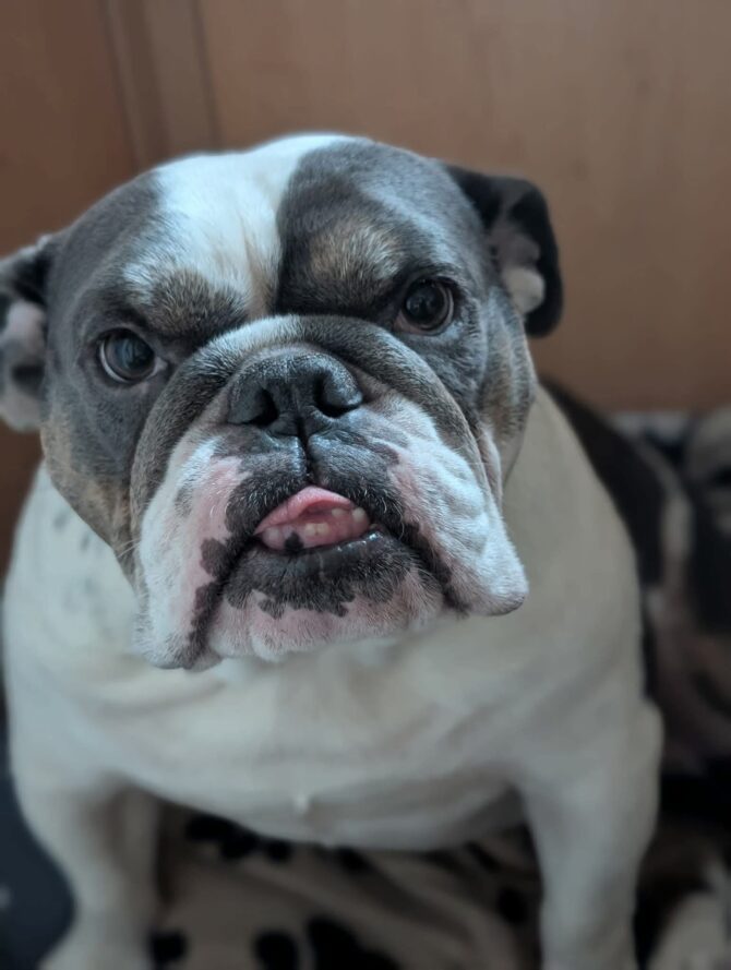 Maggie – In Foster – South East