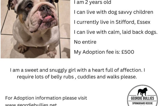 Margot -Available – South East