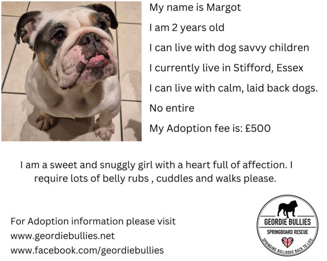 Margot -Available – South East!