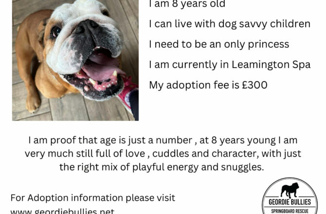 Edith – Available – Midlands