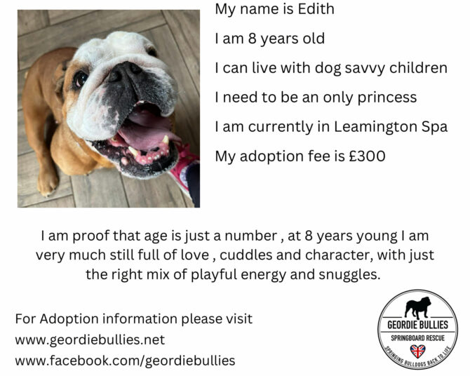 Edith – Available – Midlands