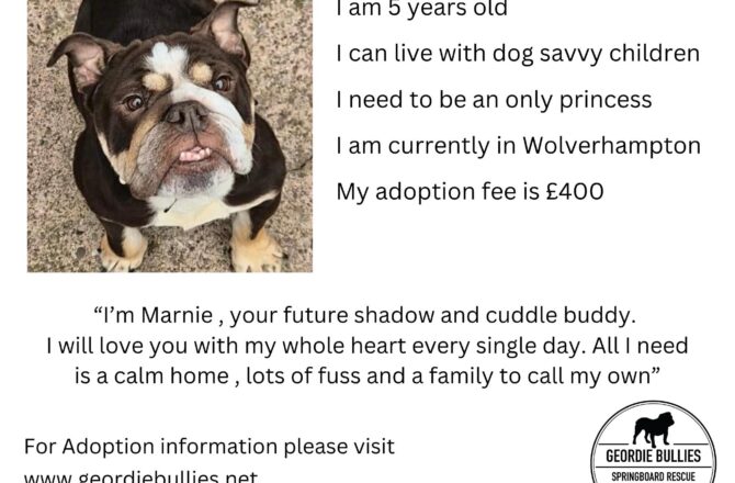 Marnie – Applications Closed- Midlands