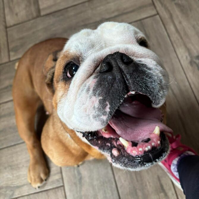 Edith – In Foster – North West