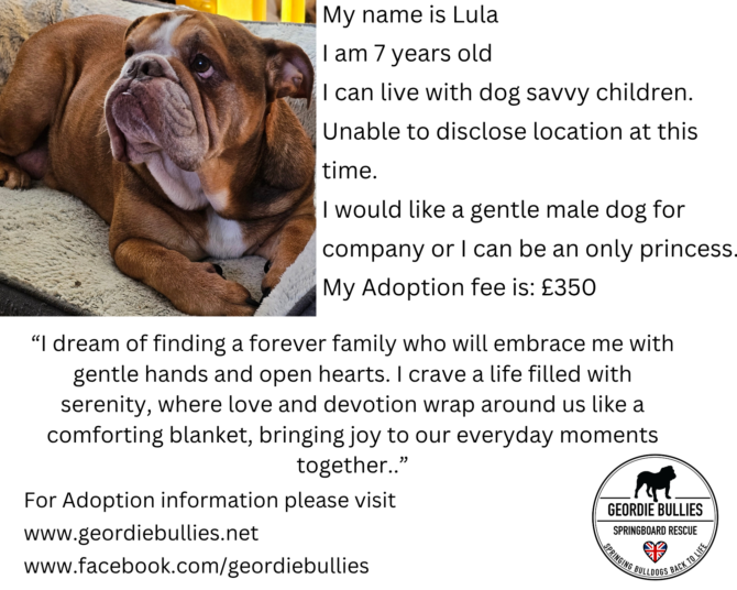Lula-Available
