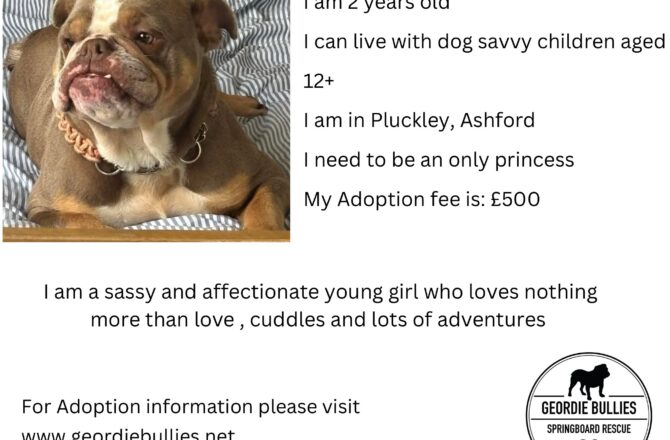 Lola – Available- South East