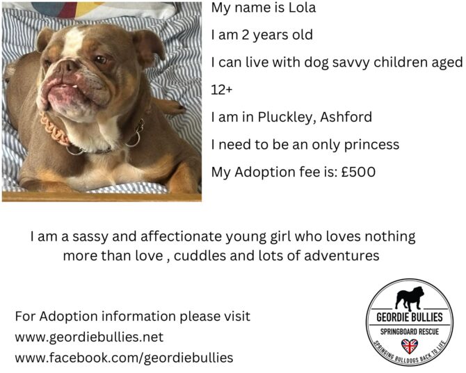 Lola – Available- South East