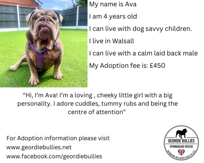 Ava – Available – Midlands