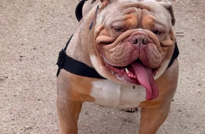 Winston – In Foster – South East