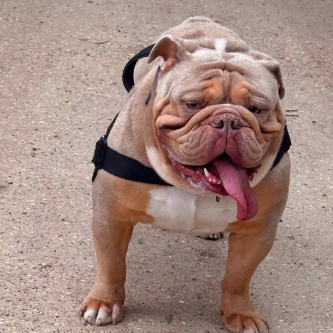 Winston – In Foster – South East