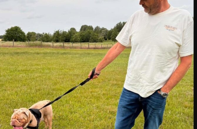 Winston – Adopted