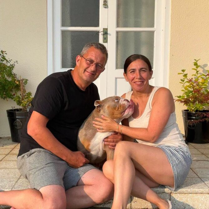 Rocco – Adopted