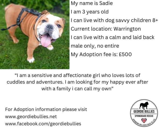 Sadie – Applications Open- North West