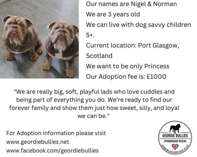 Nigel & Norman – Available – Scotland