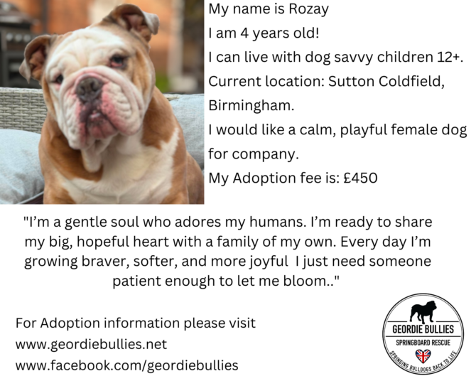 Rozay – Available – Midlands