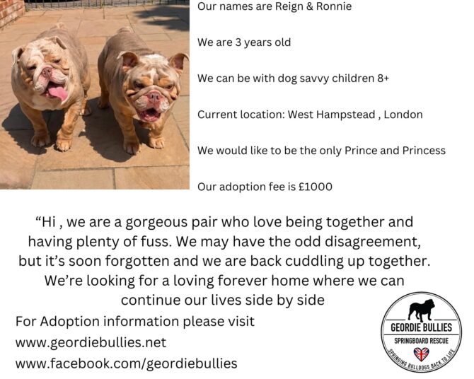 Reign & Ronnie – Available – South East