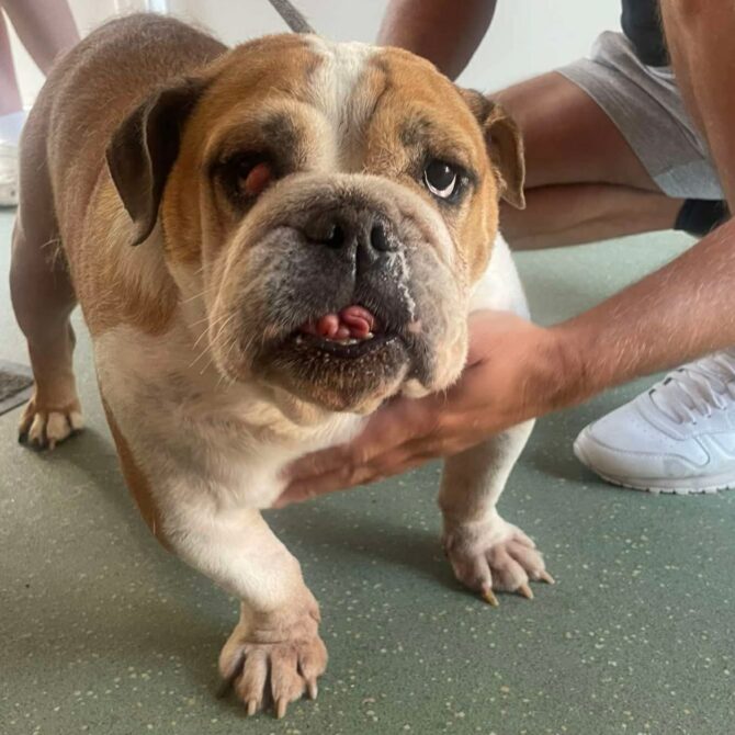 Bessie – In Foster – South West