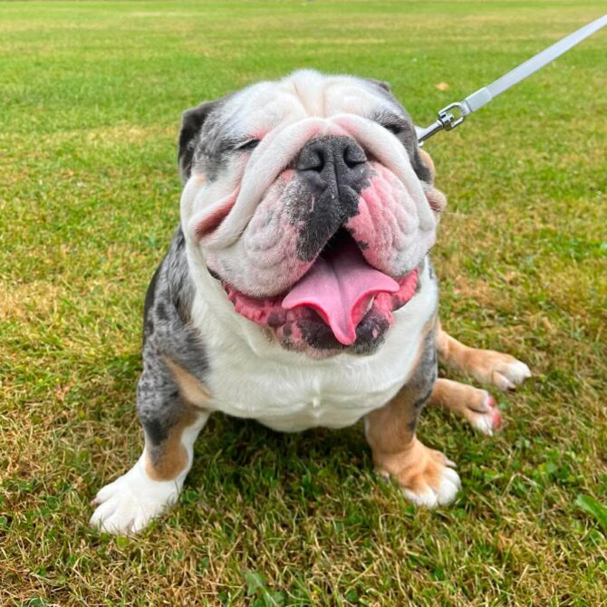 Chunk – In Foster – Scotland