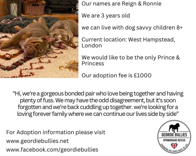 Reign & Ronnie – Available – South East