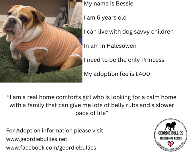 Bessie – Available – Midlands
