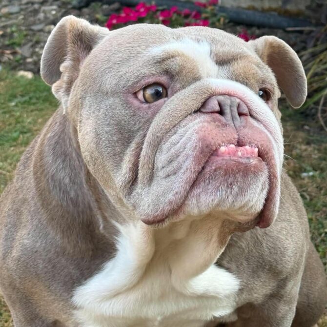 Princess – In Foster – South East