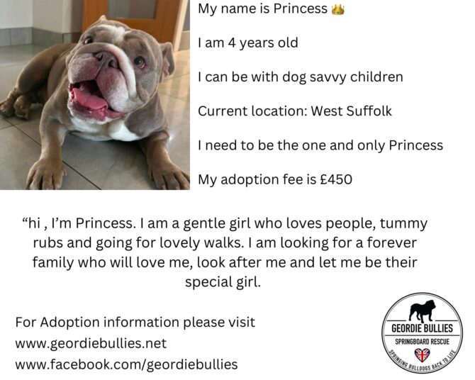 Princess – Available – South East