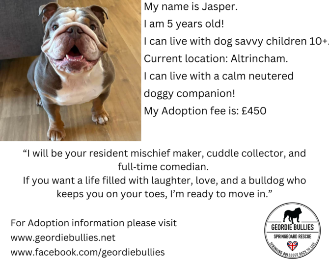 Jasper – Now Available – North West
