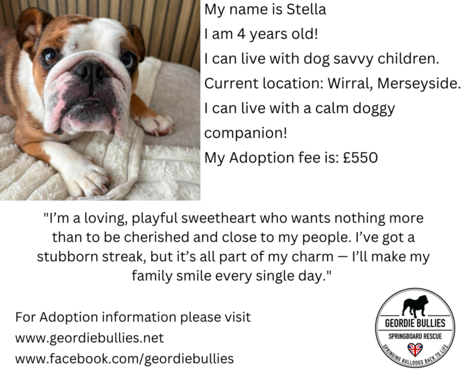 Stella – Available – North West
