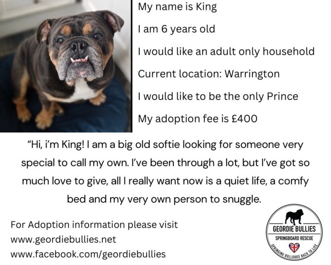 King – Available – North West