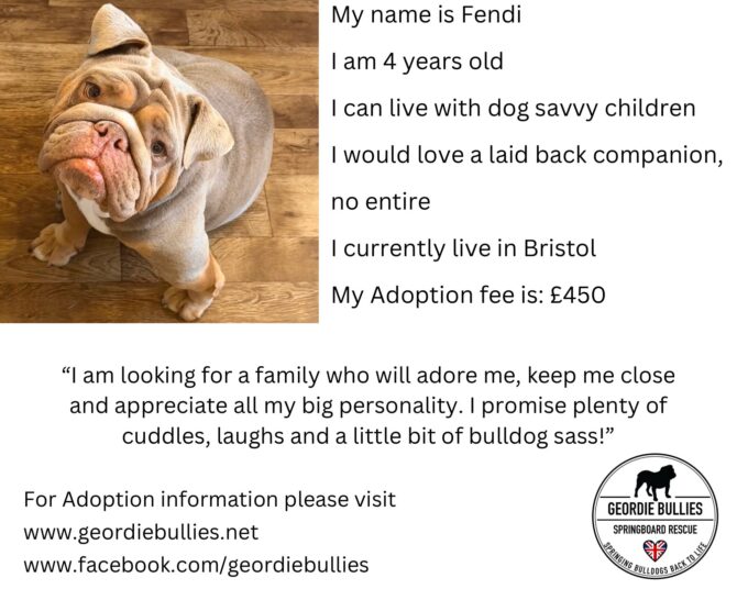 Fendi – Available – South West