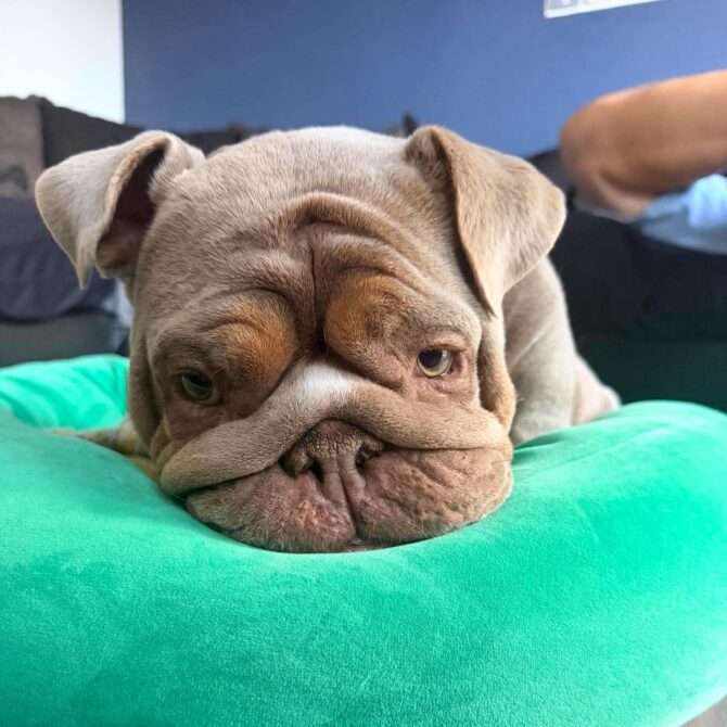 Fendi – In Foster – South West